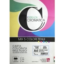 Carta colorata multiuso cwr a4 100 fogli 200g assortito in 5 colori