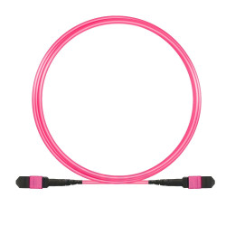 Cavo in fibra ottica patch oem a 12 fibre mtp-f/mtp-f om4