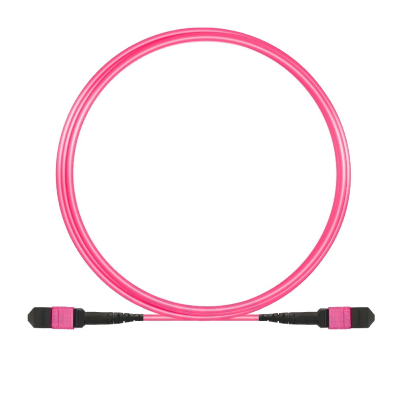 Cavo in fibra ottica patch oem a 12 fibre mtp-f/mtp-f om4