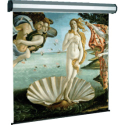 Schermo per proiezione sopar electric profess 1:1 250x250rn [5250rn]