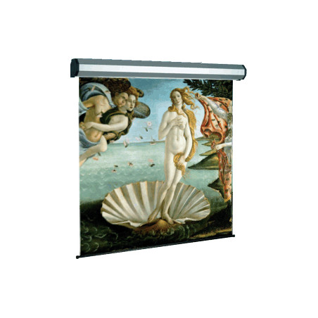 Schermo per proiezione sopar electric profess 1:1 250x250rn [5250rn]