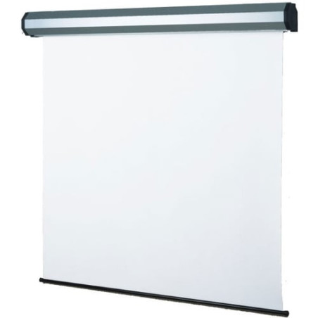 Schermo per proiezione sopar electric profess 4:3 300x225 [5301s]