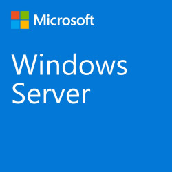 Licenza microsoft windows server 2022 standard [p73-08328]