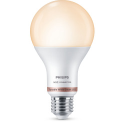 Lampadina intelligente philips a67 e27 [929002449621]