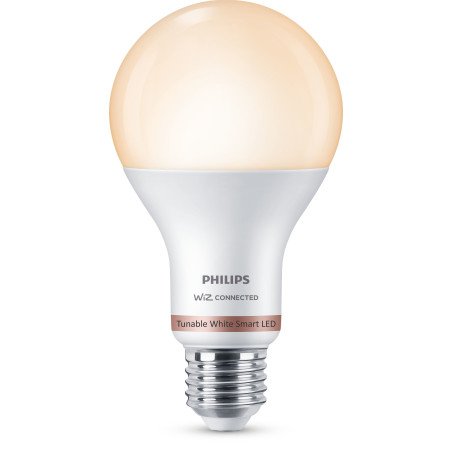 Lampadina intelligente philips a67 e27 [929002449621]