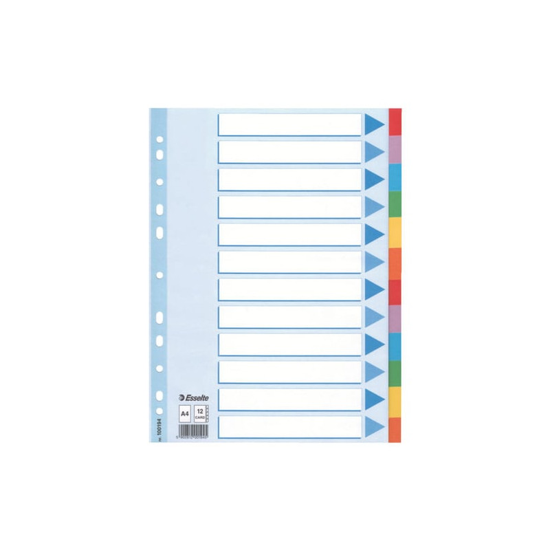 Divisori esselte 10 pz. 12 posti a4 [100194]