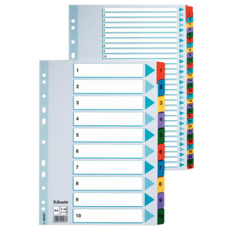 Divisori esselte 10 pz. mylar per rubrica a4 [100166]