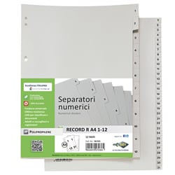 Record numerici sei rota r a4 1-6 [581190]