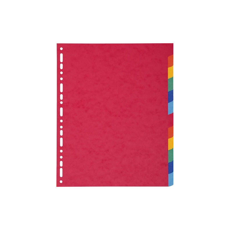 Divisori exacompta 12 tasti a4 maxi nature future [2412e]