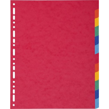 Divisori exacompta 12 tasti a4 maxi nature future [2412e]