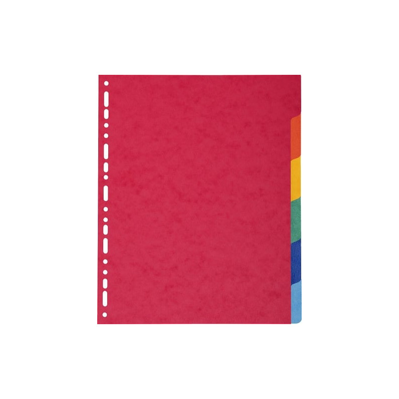 Divisori exacompta 12 tasti a4 maxi nature future [2406e]