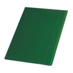 Cartella in cartone con elastico esselte 5 pz. plast verde [390346180]