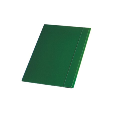 Cartella in cartone con elastico esselte 5 pz. plast verde [390346180]