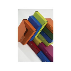 Cartella portaprogetti brefiocart cf5s prog con bottone c/bott dorso10