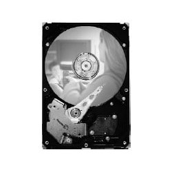 Hard disk 3,5 250gb seagate sata 7200giri/min [st3250820sce]