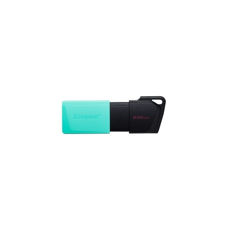 Pen drive 256gb kingston technology datatraveler exodia m usb3.2