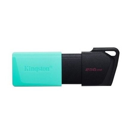 Pen drive 256gb kingston technology datatraveler exodia m usb3.2