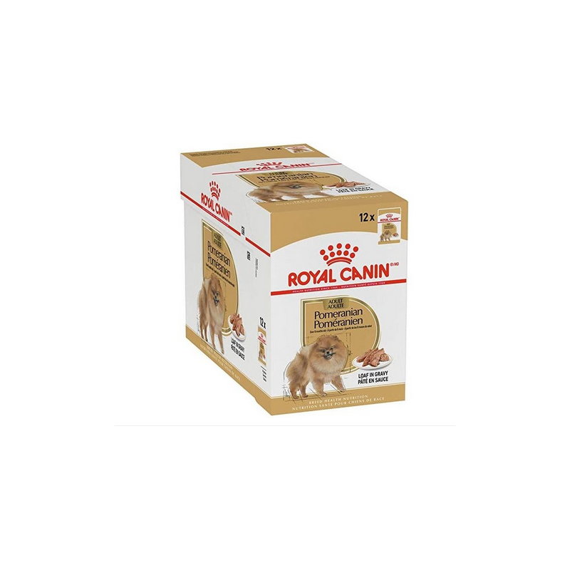 Cibo umido royal canin shih tzu per cani adulti 12x85g