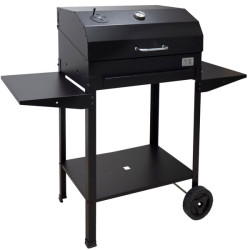 Barbecue a gas mille ercole 70 x 40cm 102h [556.70]