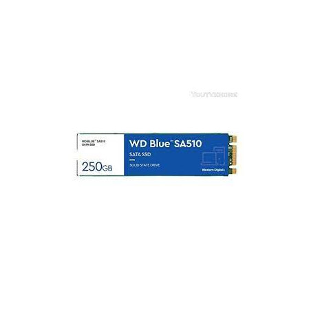Ssd 250gb western digital blue sa510 m.2 [wds250g3b0b]