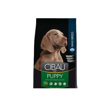 Maxi crocchette farmina per cane large puppy 12kg [pcb140009s]