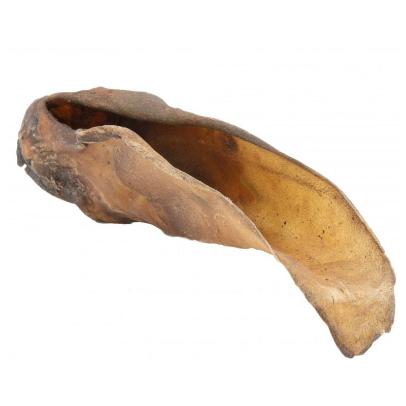 Orecchio di manzo petmex massaggiagengive per cani 1pz