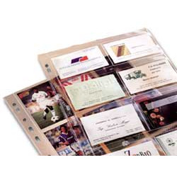 Buste forate favorit 10 pz. porta 16 biglietti da visita 1728 21,7x30,5