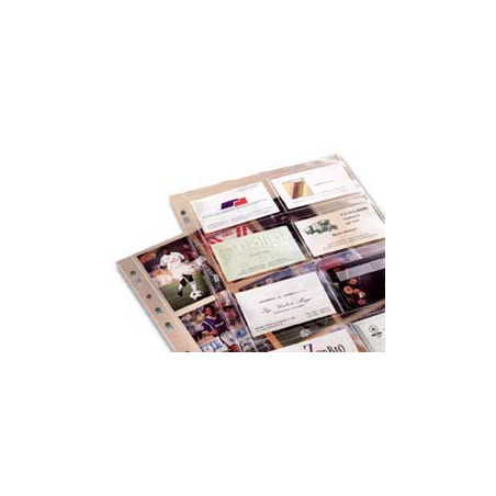 Buste forate favorit 10 pz. porta 16 biglietti da visita 1728 21,7x30,5