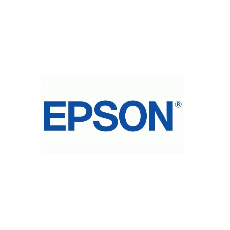Memoria epson dgfe da 8gb per ricevuta elettronica [7113086]