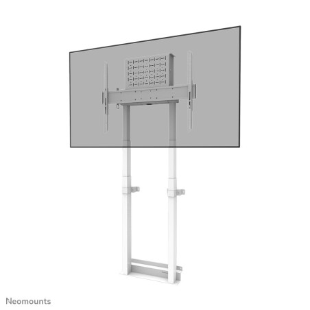 Supporto da parete neomounts by newstar 800x600 37-100''