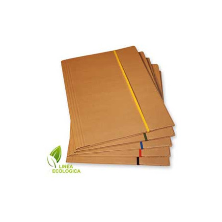 Cartellina in cartone con elastico starline a 3 lembi 25x35 elastico