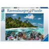 Puzzle ravensburger - un'immersione alle maldive 2000pz [17441]