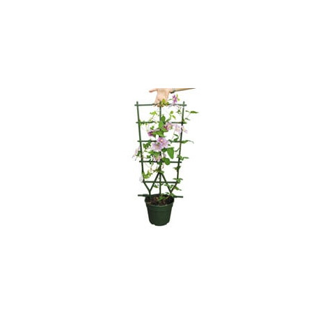 Telaio vaso rampicanti verde cm.35 h.75 [machx ]