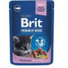Crocchette per gatti brit premium by nature 100g