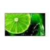 Monitor digital signage led 75" 4k nec multisync uhd 350cd/m2
