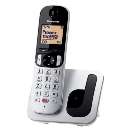 Telefono cordeless panasonic kx-tgc250jtb grigio [pnkx-tgc250jts]