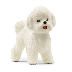 Figurina schleich fw bichon frise bianco [13963]