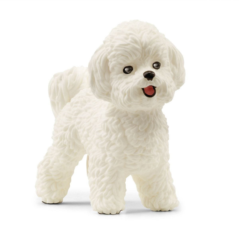 Figurina schleich fw bichon frise bianco [13963]