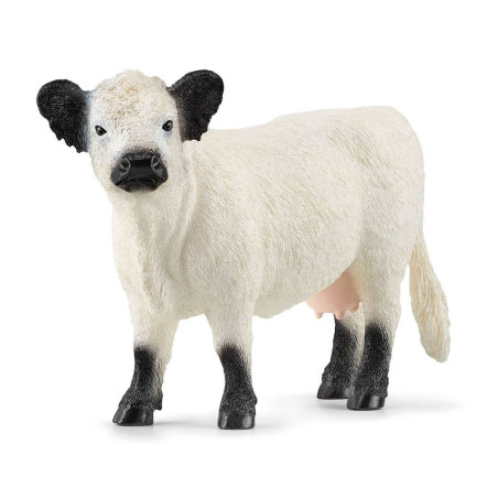 Figurina schleich fw mucca galloway nero/bianco [13960]