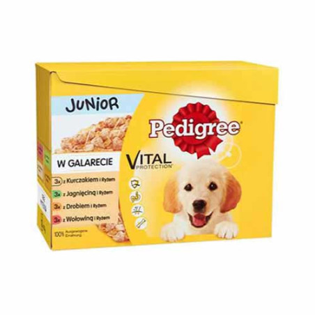 Cibo umido per cani pedigree junior bustina in gelatina 12x100g