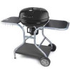 Barbecue a carbonella fieldmann per giardino 126x62x90cm [fzg_1014]
