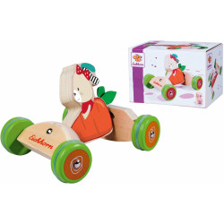 Giocattolo eichhorn veicolo a spinta multicolore [100005468]