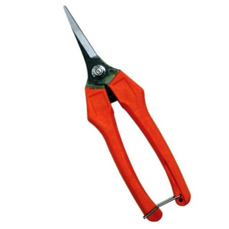 Forbici da raccolta professionali ausonia con lama sottile 18cm 85g