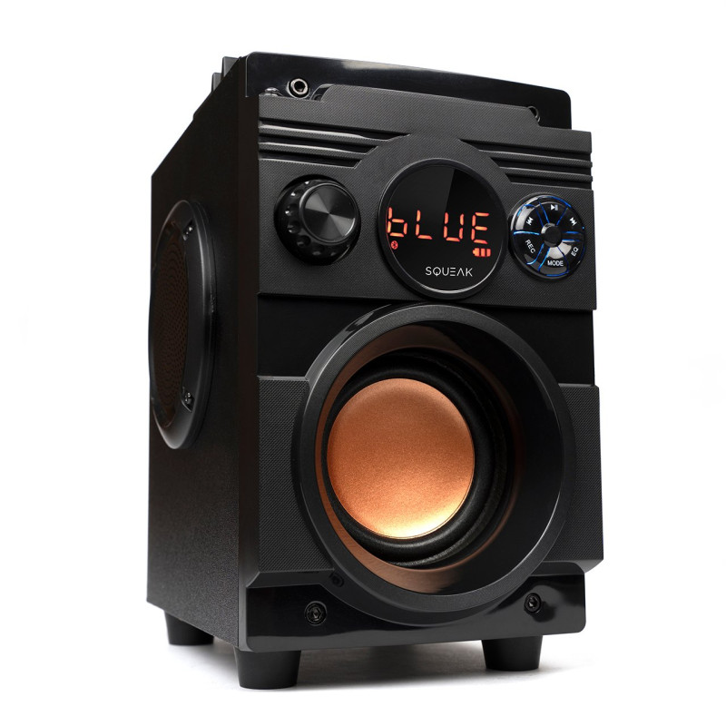 Altoparlante squeak sq1001 bassblaster portatile bluetooth 5.1 radio