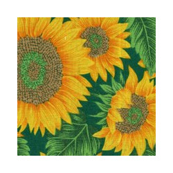 Copertura da esterno - tenda xtra bianco sole retino stampata