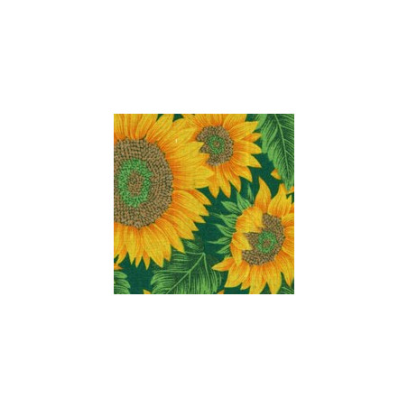 Copertura da esterno - tenda xtra bianco sole retino stampata