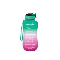 Borraccia arya the steel bottle in acciao 2.2l rosa verde
