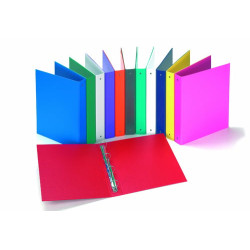 Raccoglitore ad anelli favorit europa 4010 22x30 4r dorso 30 colori