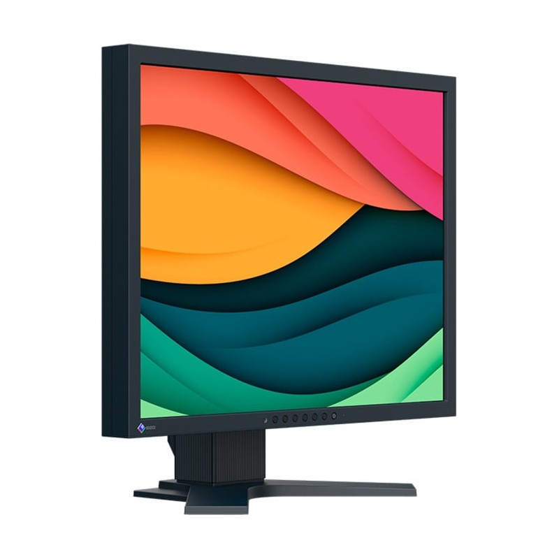 Monitor led 21'' eizo flexscan s2134 uxga 1600x1200p 6ms
