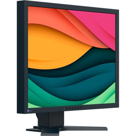 Monitor led 21'' eizo flexscan s2134 uxga 1600x1200p 6ms